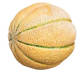 Melon Seeds - Iroquois - 1 Oz ~1200 Seeds - Cucumis melo - Farm & Garden Vegetable/Fruit Seed - Non-GMO, Heirloom, Open Pollinated, Annual