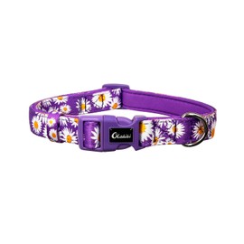 Olahibi Basic Dog Collar, Polyester Webbing Padded with Soft Neoprene, Daisy Pattern, for Large Dogs.(L, Purple Daisy)