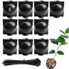 Tree Root Growing Box, Reusable Transparent Plants Asexual Reproduction Grafting