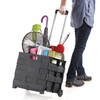 Inspired Living Ultra-Slim Rolling Collapsible Storage Pack-N-Roll Utility-carts, with Telescopic