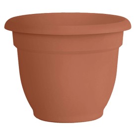 Fiskars 20-56106 6 Inch Ariana with Self-Watering Grid, Color Clay, 6"