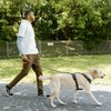 S-ETOVUS Dog Leash Chew Proof, Chain Leash Anti Chew Dog