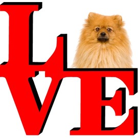 Pomeranian Dog Love Park Cute Dog Fridge Refrigerator Car Magnet