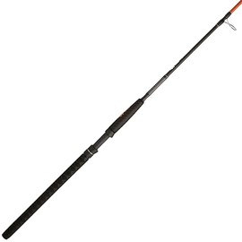 Ugly Stik Carbon Catfish Spinning Fishing Rod