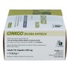 Ginkgo 100 mg Capsules + B1 + C + E