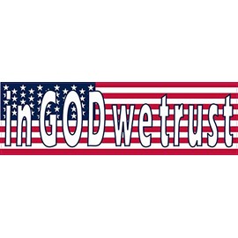 StickerTalk in God We Trust USA Flag Magnet, 10 inches by 3 inches