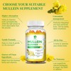 (2 Pack) 9 in 1 Mullein Gummies for Lung Cleanse