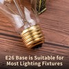 runquiz Warm Incandescent Light Bulbs 60 Watt,A19/A60 Vintage Style Edison