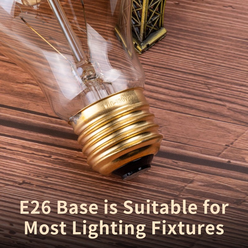 runquiz Warm Incandescent Light Bulbs 60 Watt,A19/A60 Vintage Style Edison