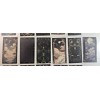 Unbranded Mystic Moons Lot #A (16) Notebook Water Cup Graffiti