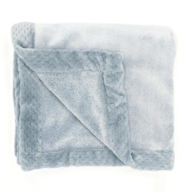 aden + anais Plush Blanket - Soft Minky Baby Blanket for Infants, Toddlers, Kids, for Crib, Stroller, Travel, Sea Blue