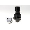 Parker 06R318AC Compressed Air Regulator, 2-125 psi Pressure Range, Face