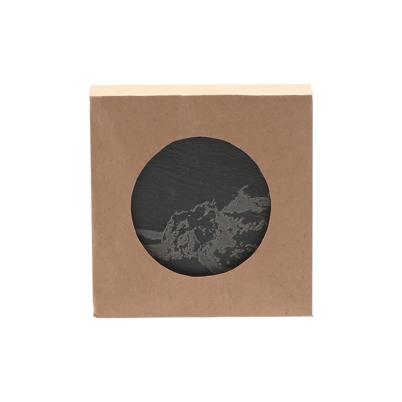 Meg Hawkins Slate Coasters Set of 4 - Engraved Animals