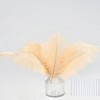 35pcs Natural Champagne Ostrich Feathers Total Length 10-12 inch Craft