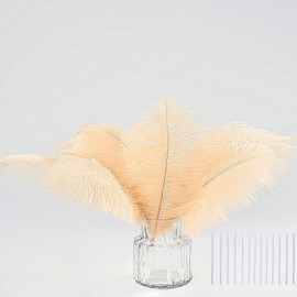35pcs Natural Champagne Ostrich Feathers Total Length 10-12 inch Craft Feather Making Kit Plume Bulk for hats Wedding Party Centerpieces,DIY Flower and Home Decoration,Pampas Grass Decor