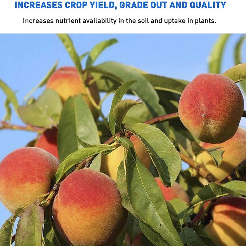 Azomite Micronized Bag, 44 lb (2-Pack)