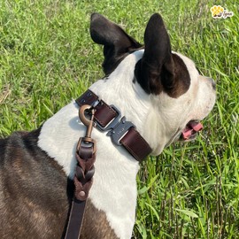 Heavy Duty Training Leather Dog Leash for Large and Extra-Large Dogs - Soft & Strong Brown Dog Leash (Brown, 5.6 ft x 1")