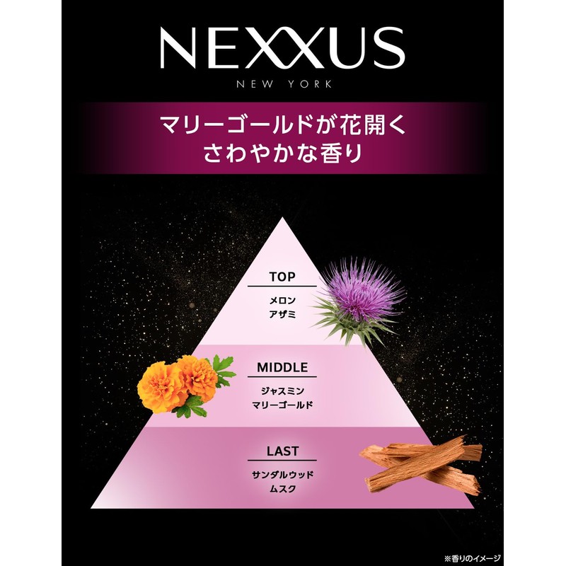 NEXXUS Color Fix Rinsing Treatment, Hair Mask, Main Unit, 9.5