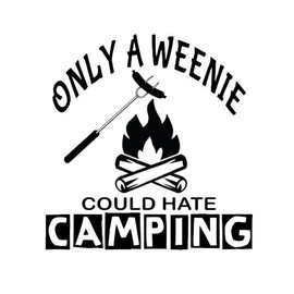 Only A Weenie Could Hate Camping Decal by Check Custom Design - Multiple Sizes and Colors