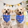 Agroon Blue Dog Birthday Bandana Boy XLarge 1PCS, Durable Triangle