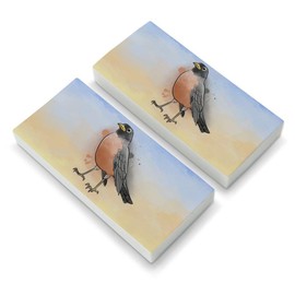 Robin Watercolor Northeastern Bird Eraser Set of 2
