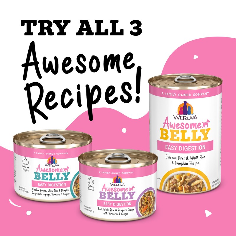Weruva Awesome Belly Wet Dog Food, Beef & White Rice,