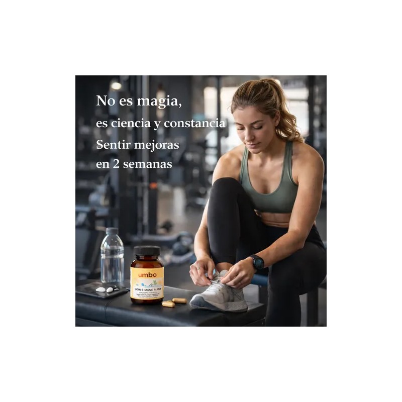 Lion's Mane + Maca + Ginseng | 4 Adaptogenos |