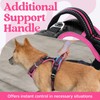 rabbitgoo Dog Harness for Large Dogs, No Pull Pet Vest