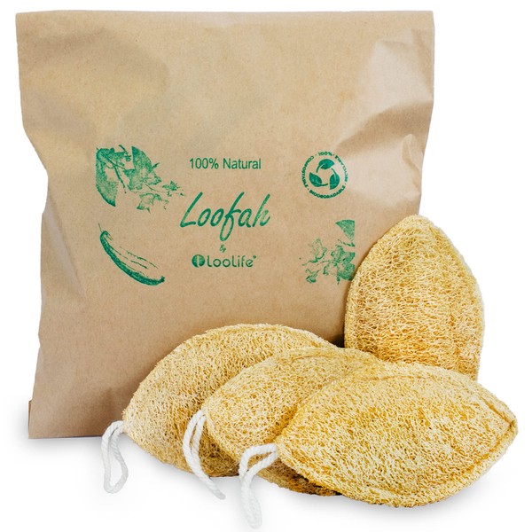 Natural Loofah Sponge (4 pack) - Loofah Exfoliating Body Scrubber - Biodegradable Loofah - Organic Natural Loofah - Luffa Sponges - Loofah Pad