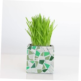 STOBOK Green Ceramic Mosaic Tiles Irregular Shaped Mosaic DIY Broken Ceramic Tiles Art Glazed Debris Glazed Small Tailgate Stepping