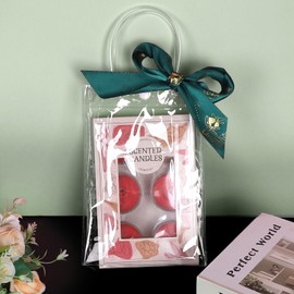 LALAGO Transparent Gift Bags with Handles, Pack of 25 Gift Bags, Transparent, Candy Bags, Reusable Clear Gift Bags for Shopping, Boutique, Wedding, Birthday (23 x 17 x 7 cm)