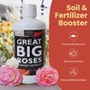 Great Big Roses – Soil and Rose Fertilizer Booster to