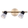 Canarm Elsee 2-Light Track Lighting Black and Gold with Clear