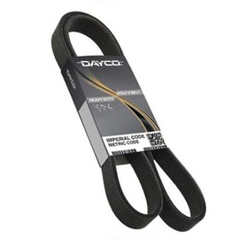Dayco 5081059 Poly Rib Belt Gold