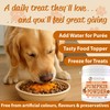 Petastical Pumpkin Powder for Dogs & Cats, 100% Natural Fibre