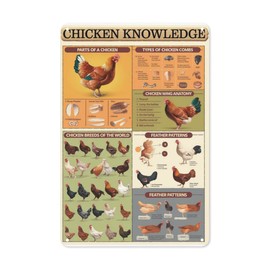 Poultry Guide Tin Sign 8X12IN Vintage Metal Wall Art for Farm Classroom, Hatchery & Agriculture Office Decor