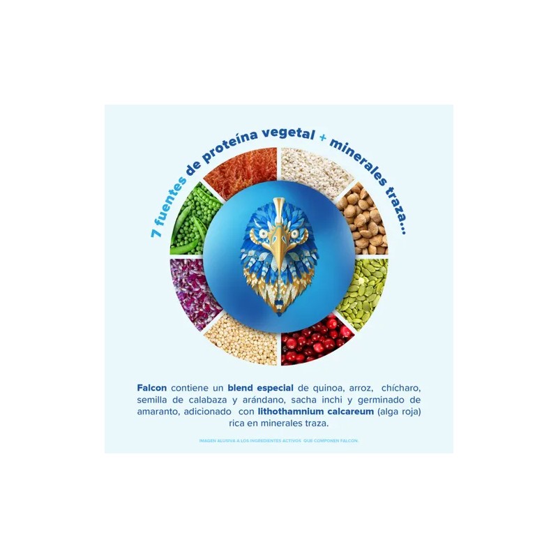 Birdman Proteína Vegetal Falcon Multipack 12 Sobres 30g Cu