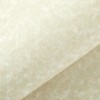 Best Paper Greetings Parchment Paper - 8.5 x 11 In,