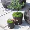 Prosper Plast Rato Round Flowerpot, 25 x 22.4 cm, Mocca,