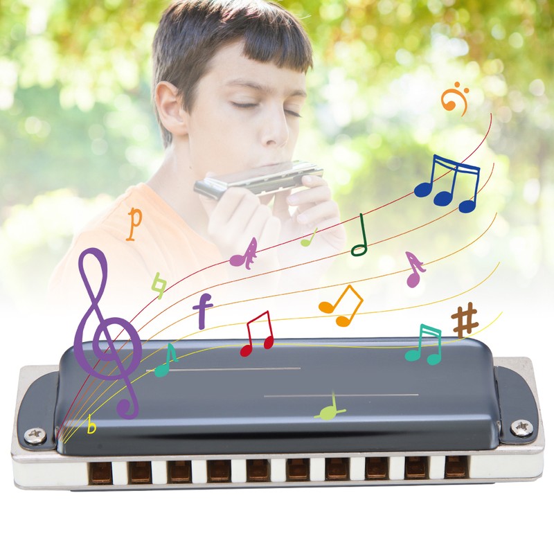 Blues Harp Harmonica 10‑Hole Professional Mouthorgan G Key Gifts Stainless