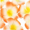 Baluue Hair Clip for Women Plumeria Flower Hairpin Stylish Hair
