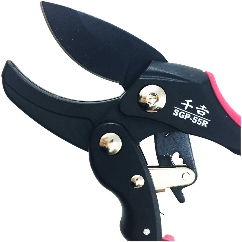 Senkichi SGP-55R Auto Ratchet Pruning Shears, Cutting Raw Trees Up