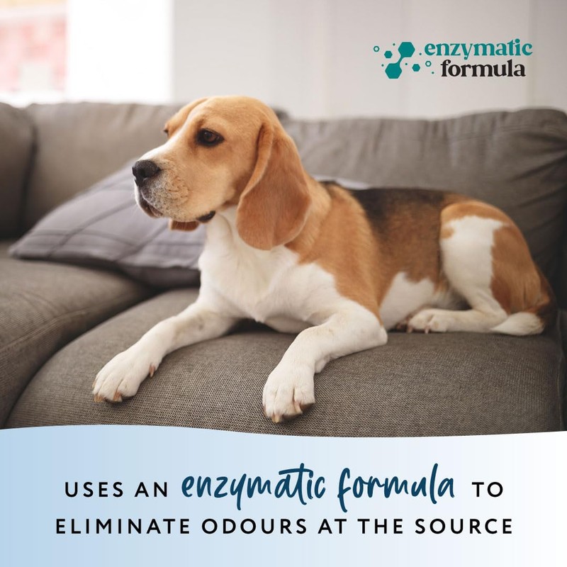 PowAir Urine Stains and Odour - Permanently Eliminates Stains and