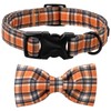 Lionet Paws Gird Dog Collar with Plastic Buckle, Cotton Fall