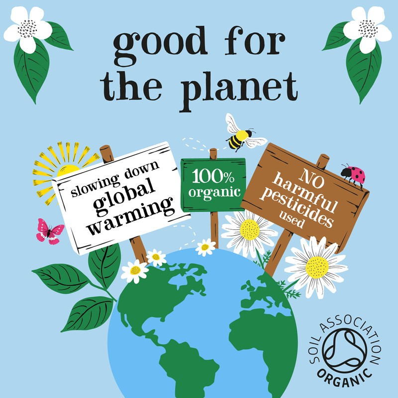 Clipper Organic Everyday Decaf Tea 250 bags