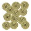 PATIKIL 8inch Tissue Paper Pom Poms, 12PCS Pom Poms Paper