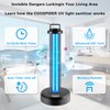 38W UV Light Sanitizer, Ultraviolet Lamp with Remote Control for