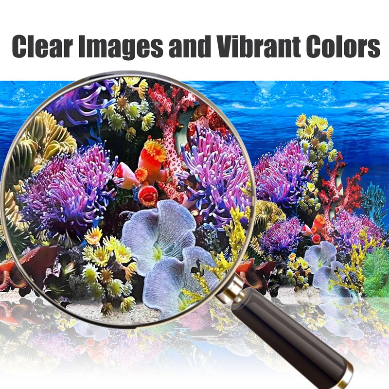 XCNO Fish Backgrounds Paper Double Sides Undersea Aquarium Background Poster