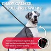 Harness Lead No Pull Dog Harness and Leash Set, Anti