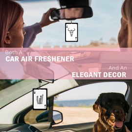 TWRVI Preppy Western Car Air Freshener 4Pcs, Western Car Accessories for Women, Funky Retro Horse Air Freshener for CarInterior Closet Drawer Books, Trendy Black Cowboy CarMirror Decor Hanging